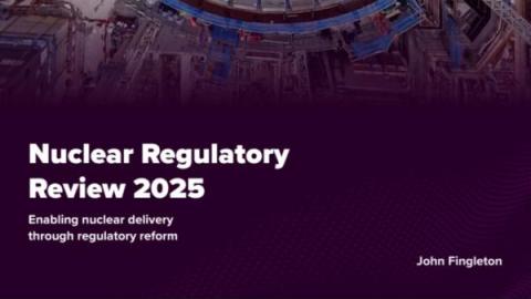 Nuclear Regulatory Taskforce