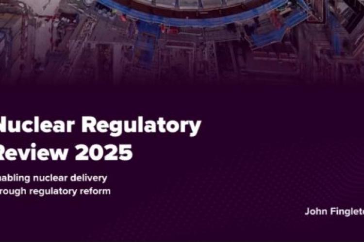 Nuclear Regulatory Taskforce